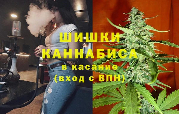 spice Гусь-Хрустальный